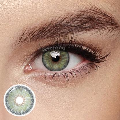 Contact Lenses