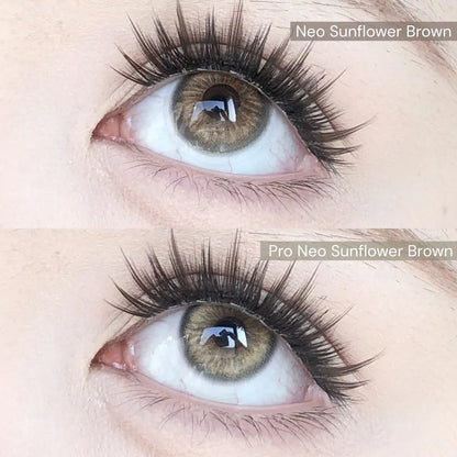 Contact Lenses