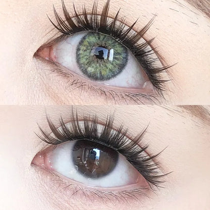 Contact Lenses