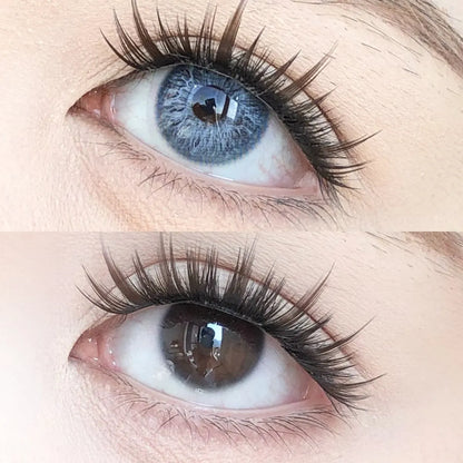 Contact Lenses