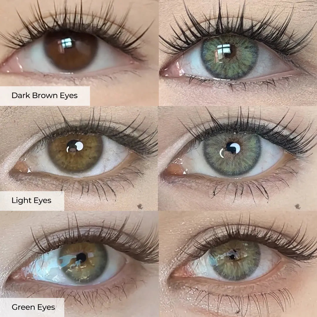 Contact Lenses