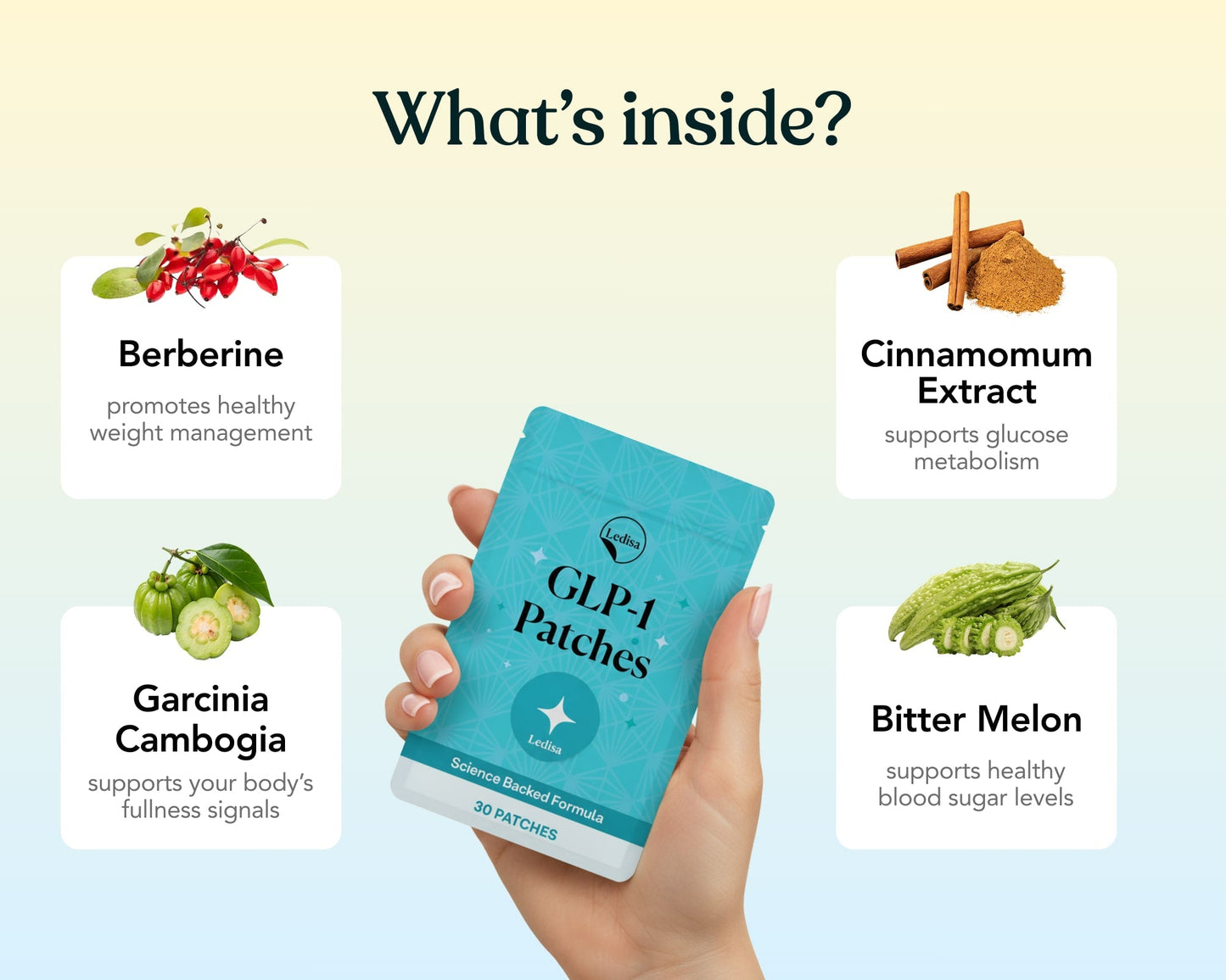 GLP-1 DAILY SUPPORT PATCHES